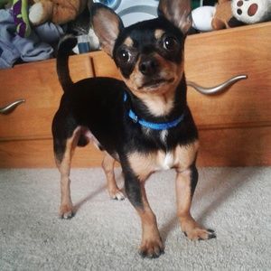 Meet your Posher, Danny